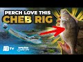 How To Set Up A Cheb Rig For Perch – Predator Quickbite
