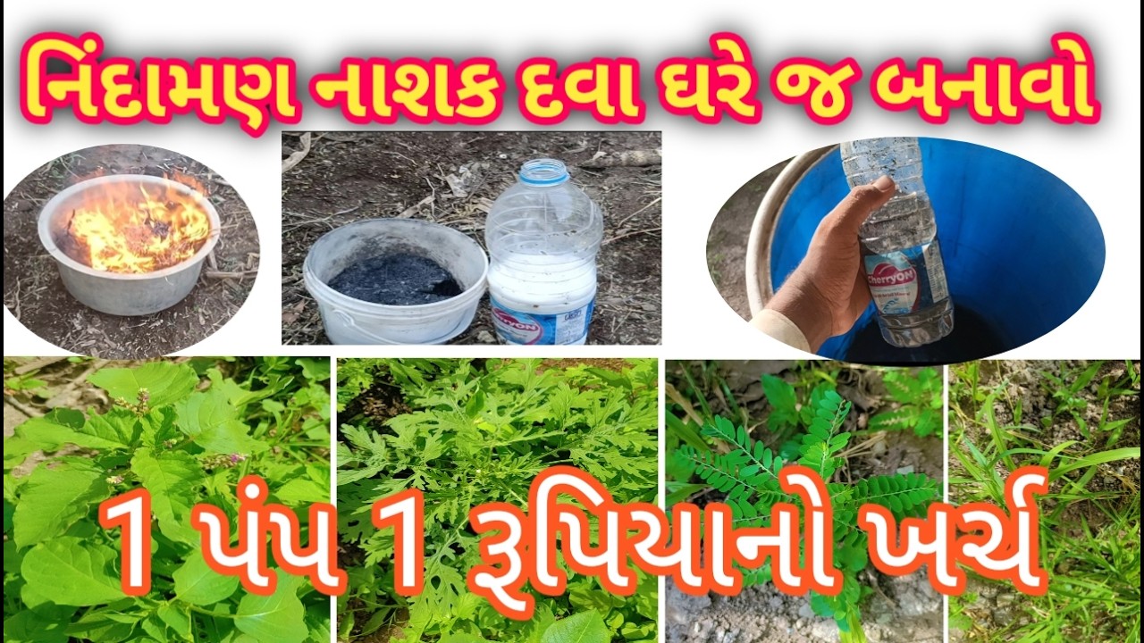 કોઈ પણ હઠીલા નિંદામણ હોય તો આ નિંદામણ નાશક દવા ઘરે જ બનાવો !'' માત્ર એક પંપ નો ખર્ચ એક રૂપિયા (ફ્રી)