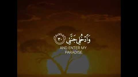 القارئ خالد الجليل سورة (الفجر)