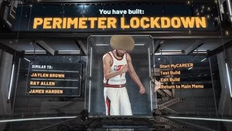 Best Perimeter LockDown Build NBA2K20