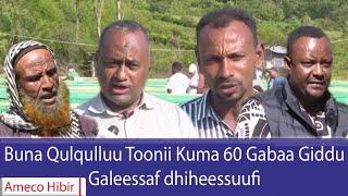 Ameco Hibir Buna Qulqulluu Toonii Kuma 60 Gabaa Giddu Galeessaf Dhiheessuufi 11032018