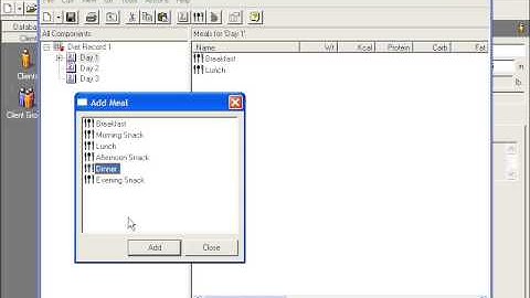 How to create a 24 hour or 3 day Diet Record for a patient or client?