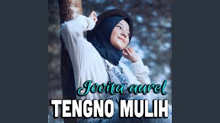 Tengno Muleh