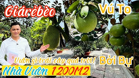 [Đã Bán] Bán nhà vườn đẹp 1200m2 sân vườn nghỉ dưỡng giá rẻ bèo