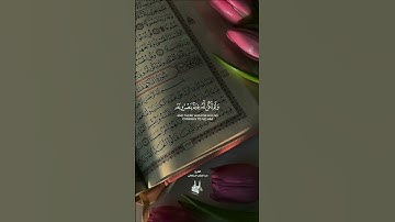 وأحيط بثمره فأصبح يقلب كفيه على ما أنفق فيها #تلاوة_سورة_الكهف بصوت عبدالمؤمن البركاني