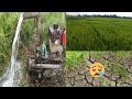 Underground water supply for rice farming
