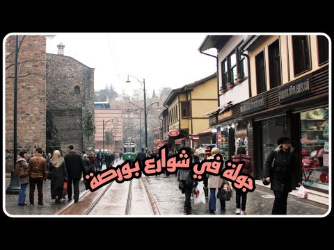كلام اول مرة تعرفوه عني مع جولة بالاتوبيس في شوارع بورصة مصرية في تركيا
