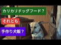 カリカリドッグフードvs手作り犬飯