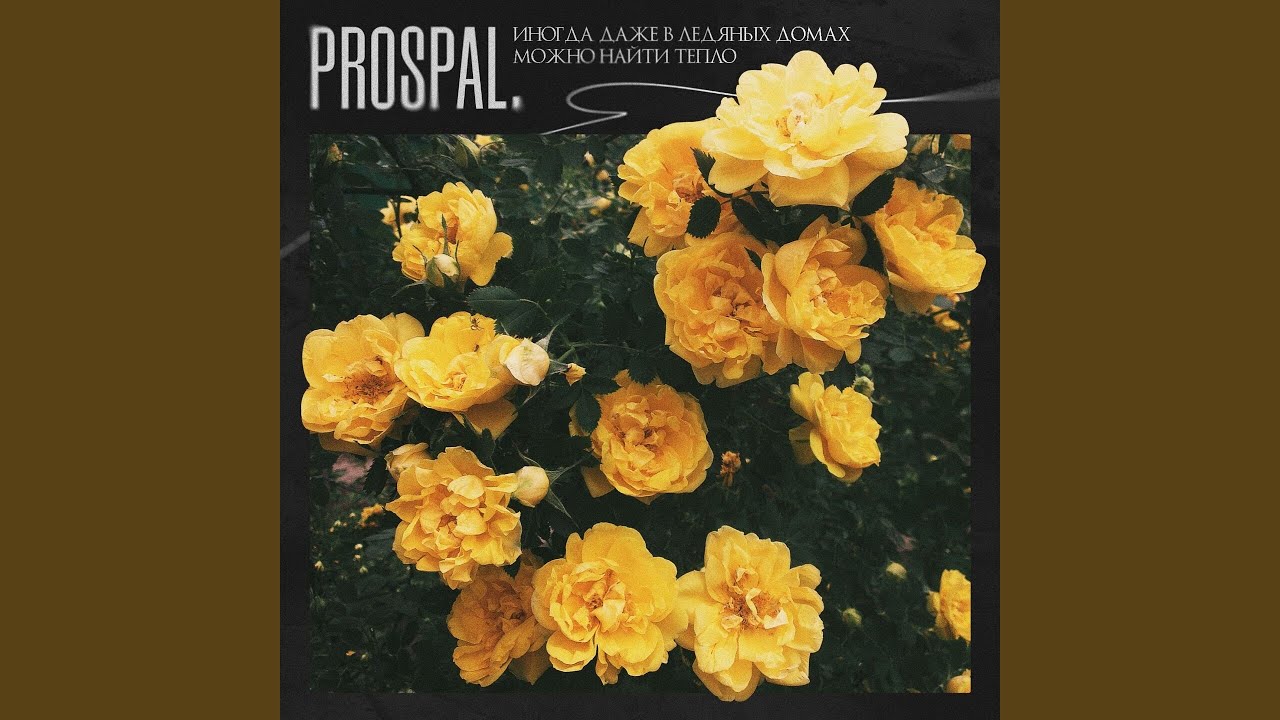 Иногда даже в ледяных домах можно найти тепло