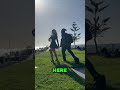 TikTok Engagement Almost Went WRONG TikTok Engagement Almost Went WRONG