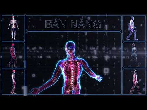 Video: Bản Năng Là Gì