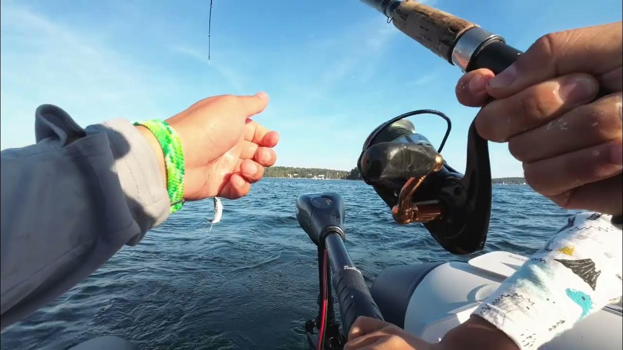 Mackerel Fishing in St Margaret’s Bay, Nova Scotia YouTube