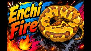 Enchi Fire For the Win