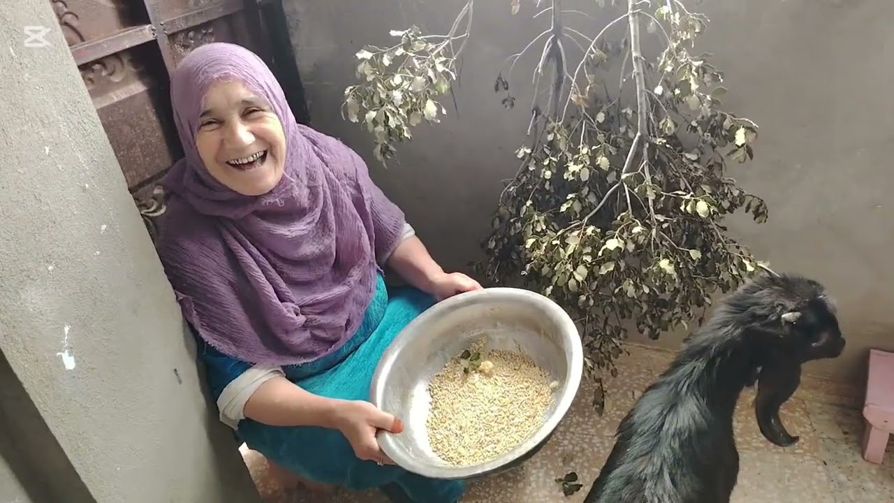 ديول البوراك على طريقتي. 😋