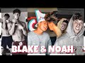Blake Gray and Noah Beck ( Bloah ) TikTok Compilation