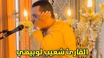 القارئ شعيب لوبيهي ما تيسر من سورة الأنعام