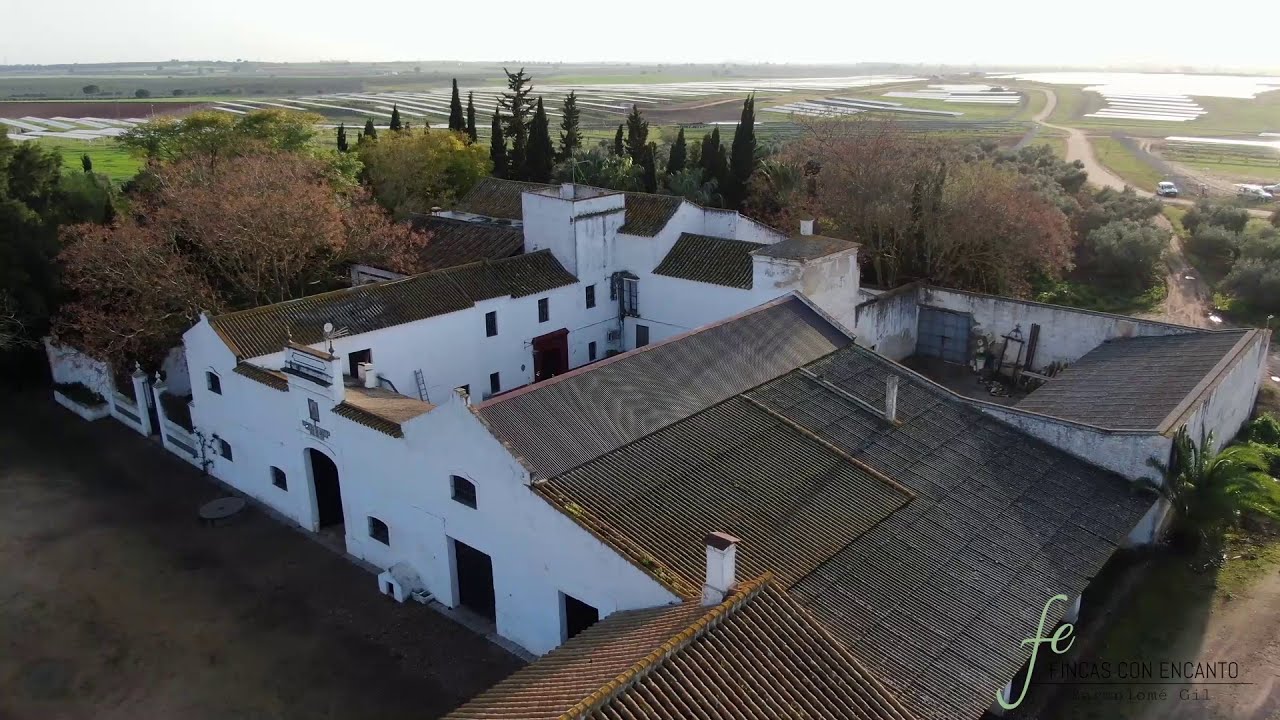 Maravillosa hacienda del siglo XVI a 15 minutos de Sevilla