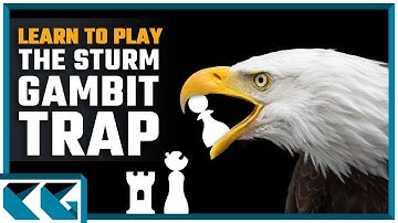Chess Openings: Learn to Play the Sturm Gambit Trap!