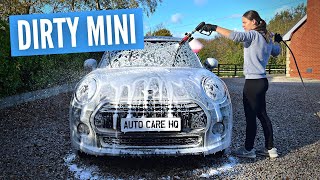 Cleaning a Dirty Mini Cooper | Exterior Wash and Protection