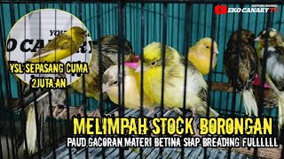 MATERI BORONGAN DAN JUGA FULL BAHAN PAUD,BETINA,GACORAN LANGSUNG CEK IN BOSKUH🥰