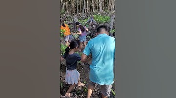 Ngại gì bẩn - Lội bùn bắt ốc len cùng cô Loan - Hộ giữ rừng Cần Giờ (Nghỉ Lễ vui quá)