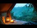 1 Hour Rain Ambience Outside Tent for Relaxation
