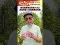 白沙屯媽祖進香