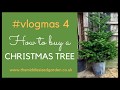 #vlogmas 2017 - Buying a Christmas tree tips