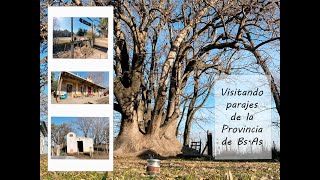 LA TRANQUILIDAD DE DOS PARAJES DE LA PCIA DE BS. AS. 🌳🐄🌤🚂♠