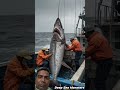 dangerous fish out of control #fish #fishing #sea #animals #shorts #trending #shortvideo #shortytsh