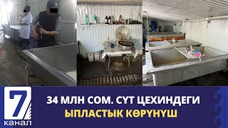 СҮТ САТУУГА ТОСКООЛ БОЛГОН. ЖАСАЛМА БИЗНЕС ЖАСАГАН  ИШКЕР КАРМАЛДЫ