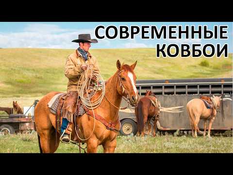 Как живут ковбои сегодня?