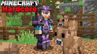 What is my Dream Minecraft HARDCORE Survival project?