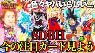 10万円負けた敗北者によるSDBH注目カード達を一気に見ていく配信