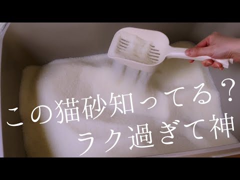 【絶対知っておいてほしい優秀すぎる猫砂】災害時にも備えたおきたい!猫が喜ぶ猫砂だから粗相しちゃう猫ちゃんにも使ってみて!
