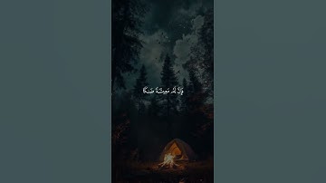 القران الكريم راحة نفسية تلاوة خاشعة حالات واتساب قران كريم 💙🩵 #حالات_واتس_اب