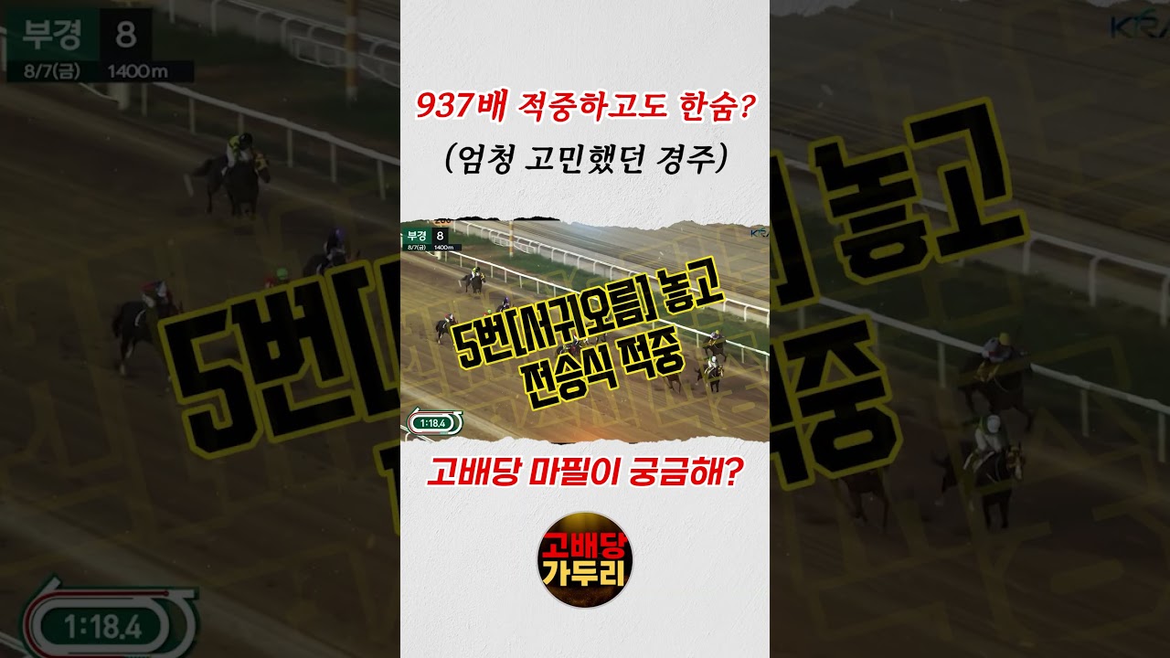 고배당 마필이 궁금해?고민했던 경주 937배 적중!!!