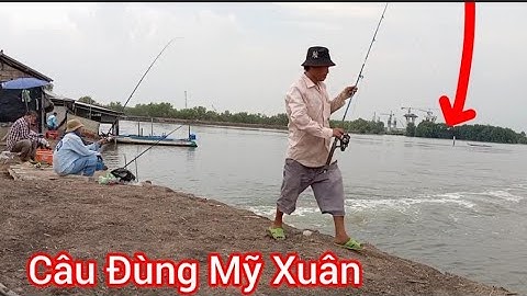 Câu cá Nâu/ và Bống Đục Đầu Mùa ở Đùng Mỹ Xuân/ Câu Đùng Mỹ Xuân Tân Thành BRVT @Dammecauca1