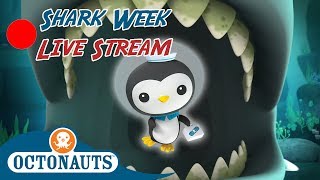 🔴 Live! - Octonauts | Sharks Sharks Sharks! 🔴
