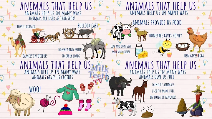 How Animals help us | Uses of Animals | Ways in which animals help Humans | Things animals give us - DayDayNews
