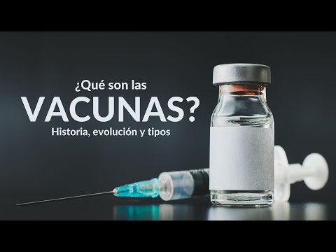 ¿QUÉ SON LAS