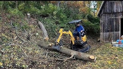 Clearing trees around an OLD barn with a Chinese mini excavator