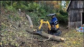 Clearing trees around an OLD barn with a Chinese mini excavator by 99 Projects 56,550 views 6 months ago 20 minutes