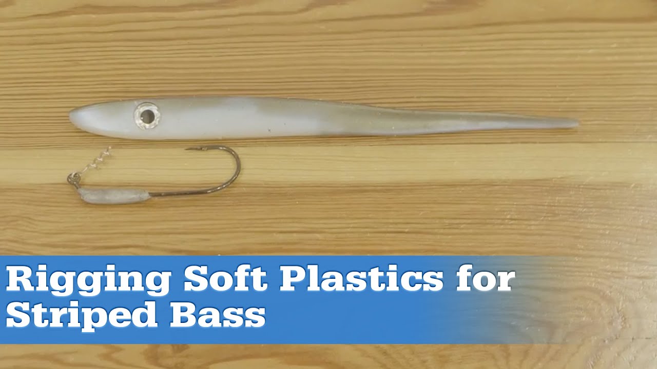 How to Rig Soft Plastics for Striped Bass 