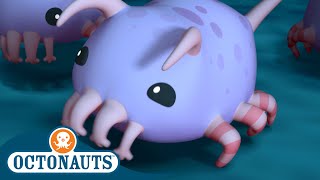 @Octonauts - The Sea Pigs | Season 3 | Full Episodes | Cartoons for Kids