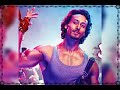 أجمل صور لي تايغر شروف 