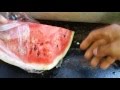 Como plantar melancia mais rápido