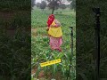 आचानक जेठ जी आ गए #farmingjyotivlogs #veel #reels #trading #farming #kisan #short #followme #sorts