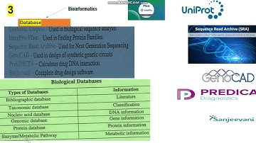 BIOINFORMATICS -Computer applications in pharmacy