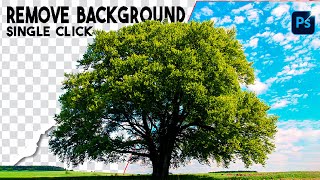 Remove Trees Background in Photoshop | By Using 2 Techniques | Cut Out Trees In Photoshop ?